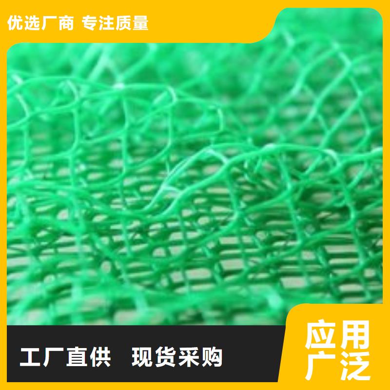 三维植被网双向塑料格栅现货充足