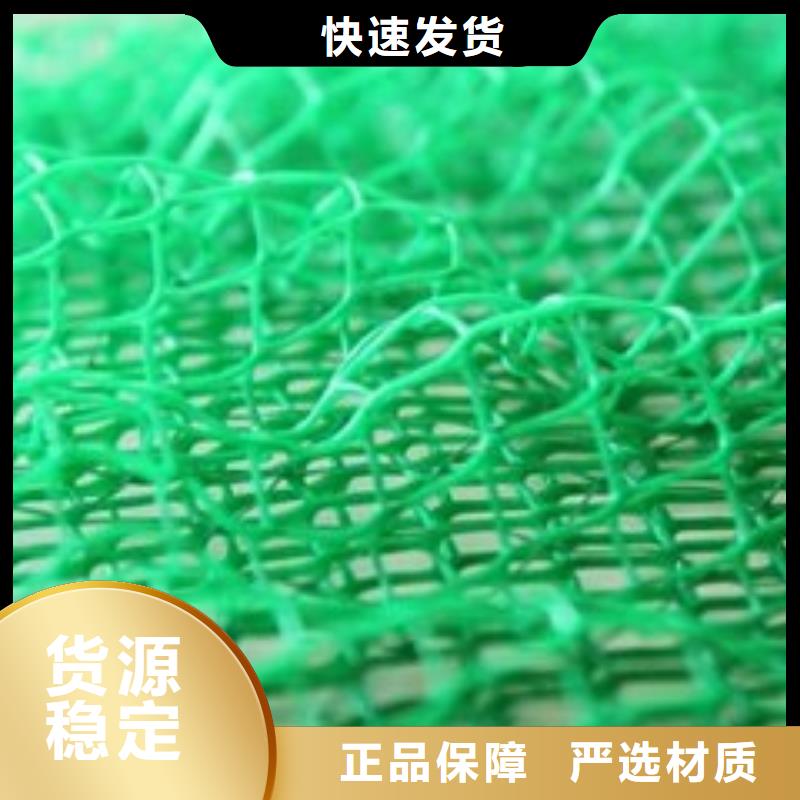 三维植被网双向塑料格栅现货充足
