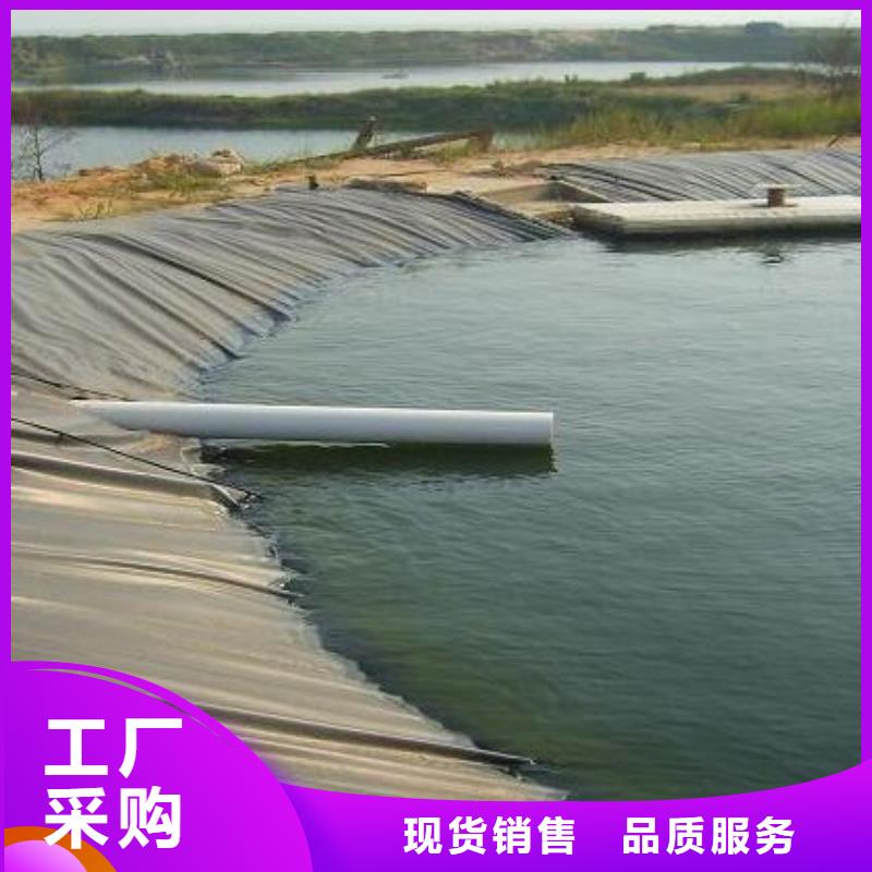 土工膜,【三维土工网垫】直销厂家
