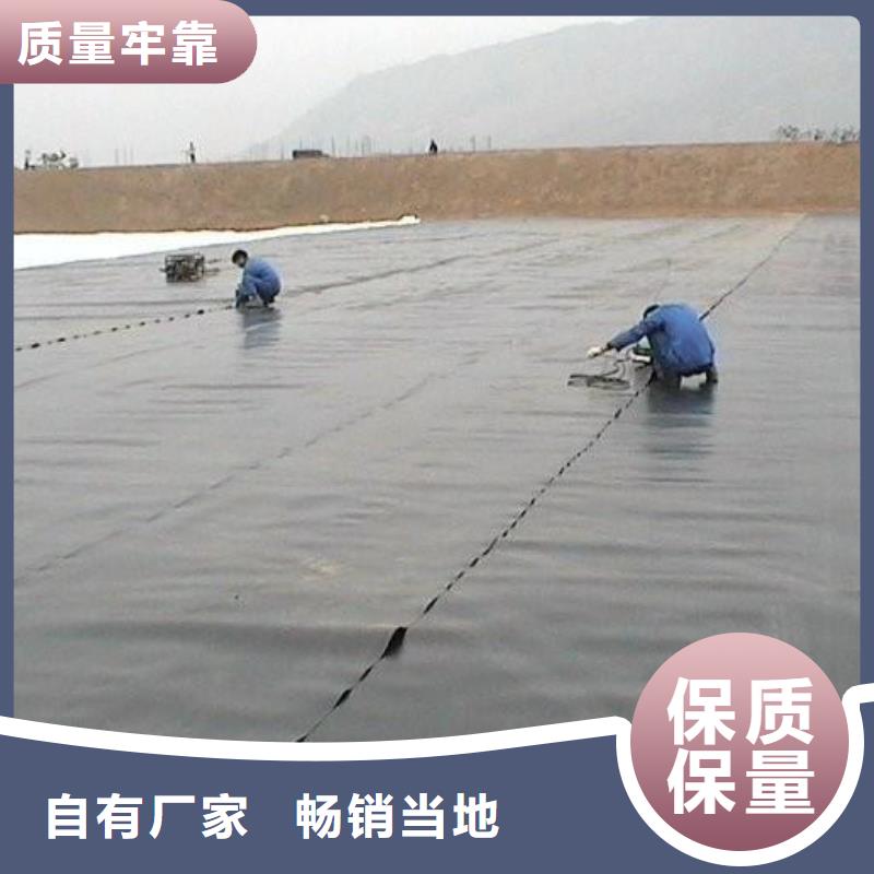 土工膜,【涤纶格栅】自有生产工厂