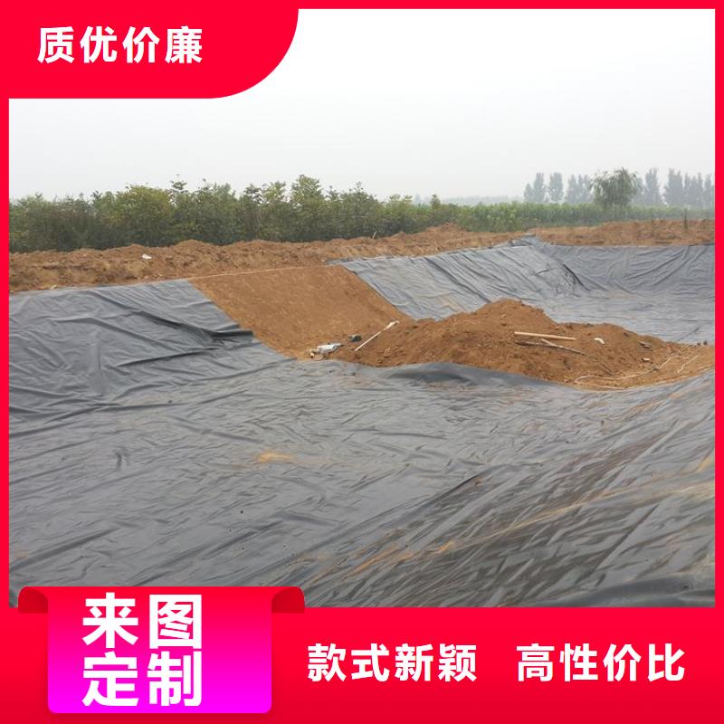 土工膜涤纶土工格栅经验丰富质量放心