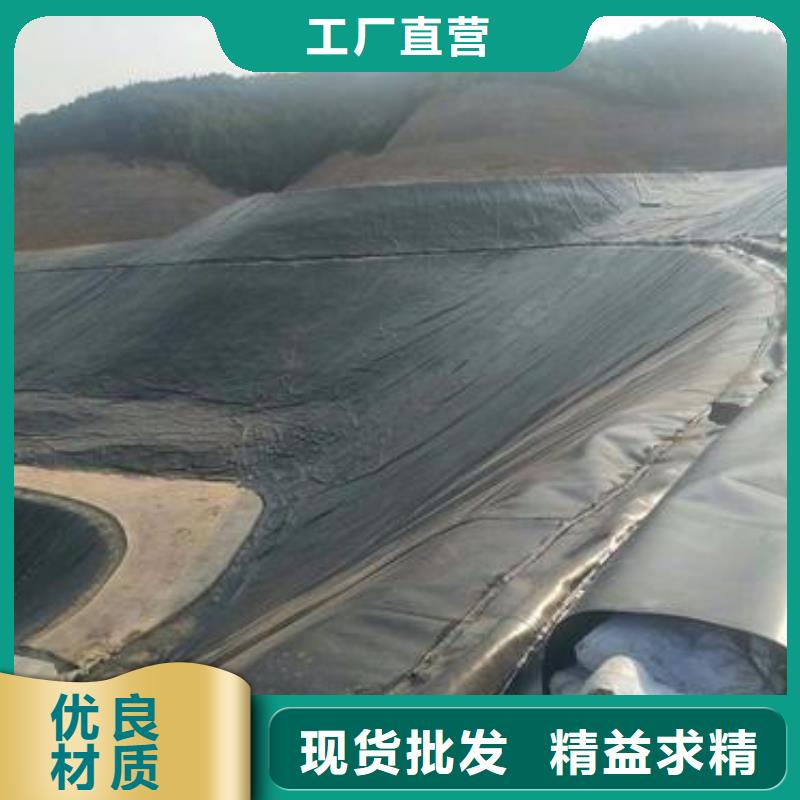 土工膜土工席垫按需设计