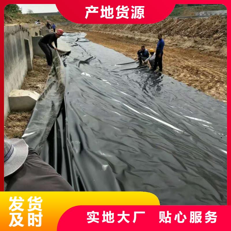 短丝土工布视频-短丝土工布-中齐建材(淮北市分公司)服务区域烈山|濉溪|马鞍山|安庆|滁州|阜阳|宣城