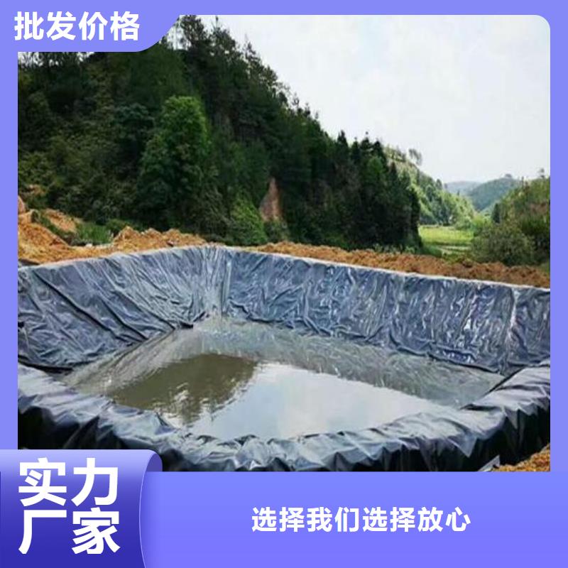 土工膜,【三维土工网垫】直销厂家
