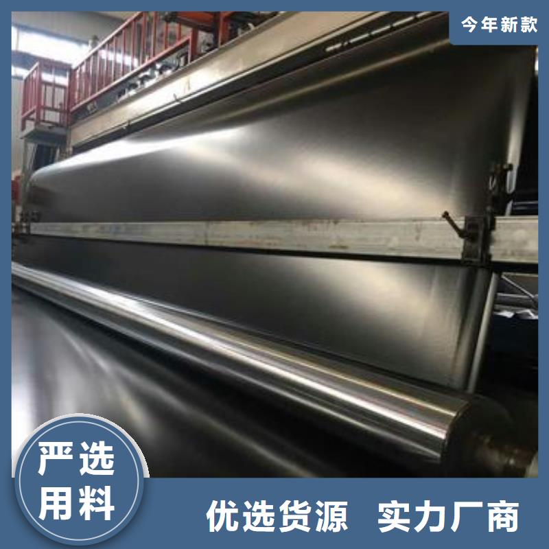 土工膜,【涤纶格栅】自有生产工厂