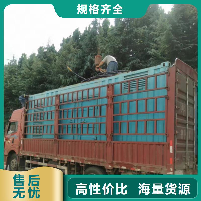 高压发电车出租可并机并网