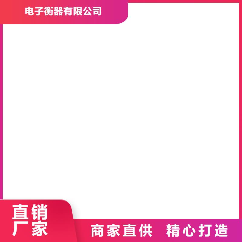 【电子吊秤】电子天平精致工艺