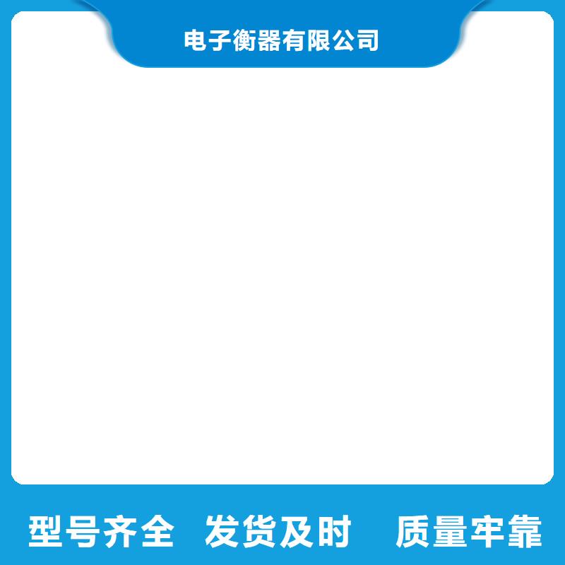 电子吊秤,电子汽车衡工厂直供