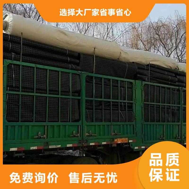 钢塑土工格栅拒绝中间商|殷都|汤阴|三门峡|信阳|鹤壁|新乡|濮阳制造商