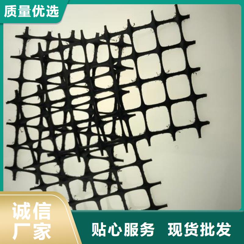 【双向塑料土工格栅】-复合土工膜值得买 鼎诺土工材料(拉萨市分公司)