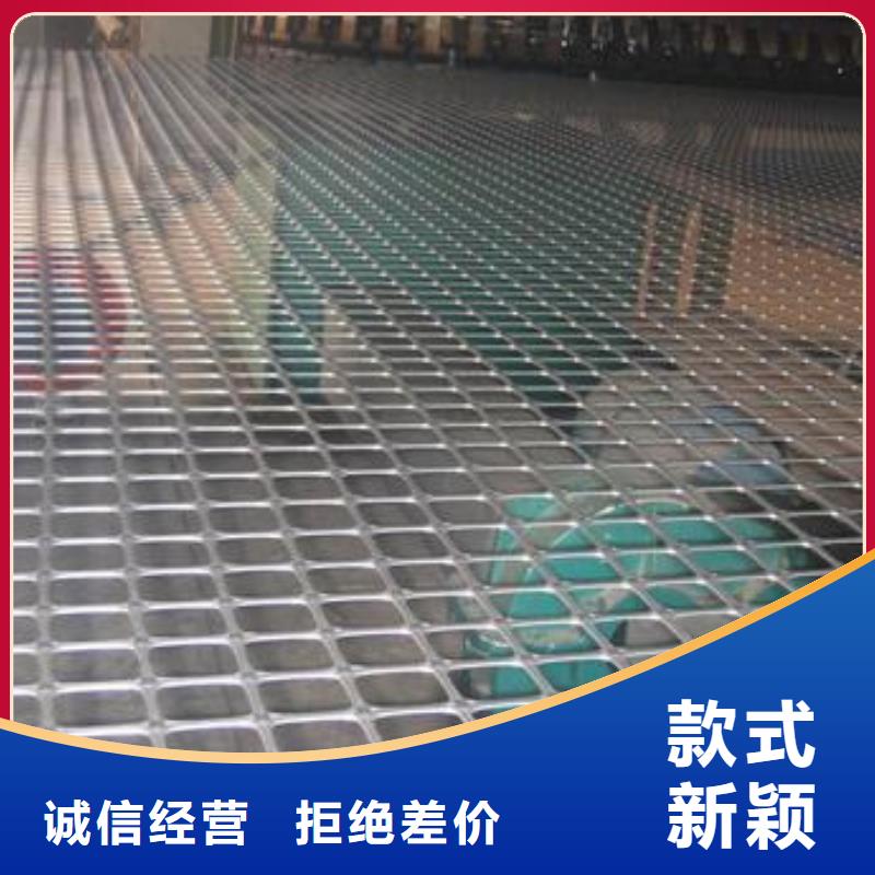 【双向塑料土工格栅】-复合土工膜值得买 鼎诺土工材料(拉萨市分公司)