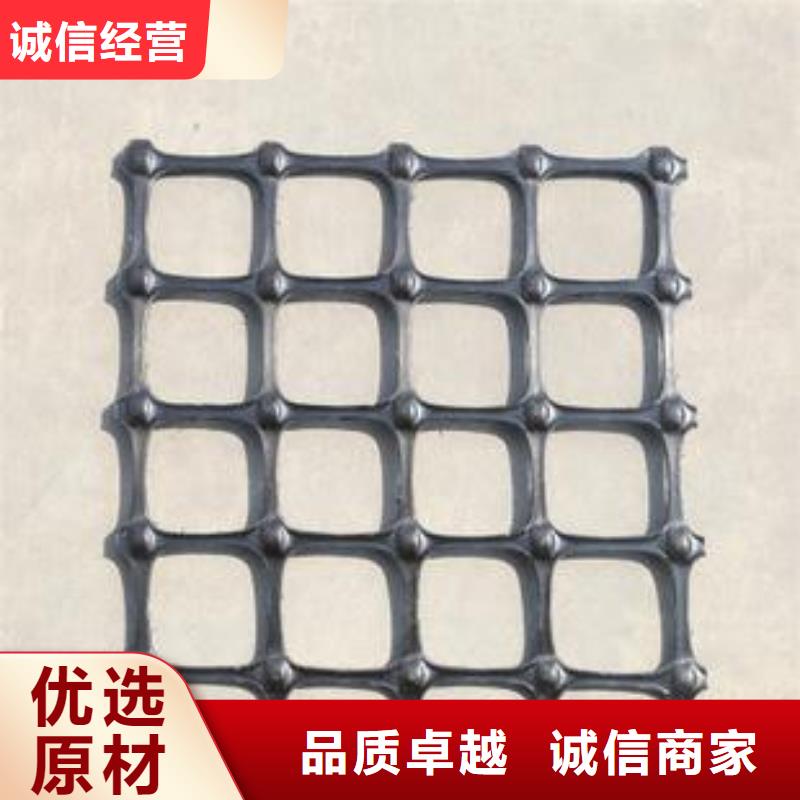 【双向塑料土工格栅】-复合土工膜值得买 鼎诺土工材料(拉萨市分公司)