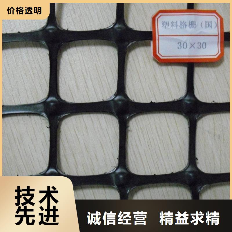 【双向塑料土工格栅】-复合土工膜值得买 鼎诺土工材料(拉萨市分公司)