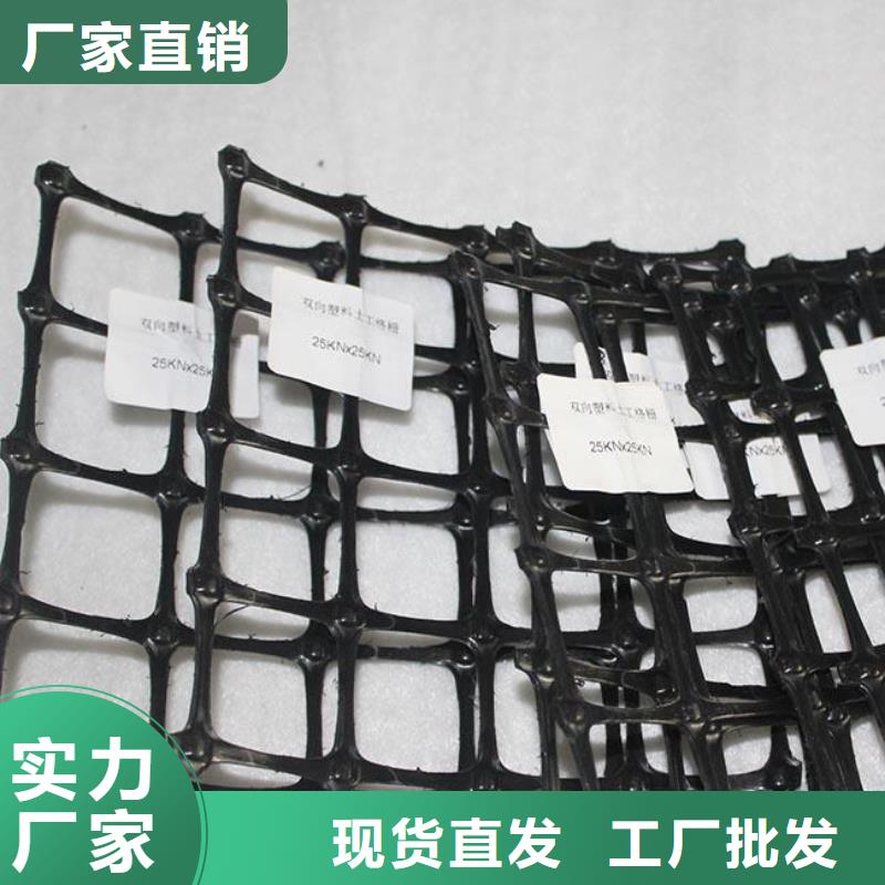 【双向塑料土工格栅】-复合土工膜值得买 鼎诺土工材料(拉萨市分公司)