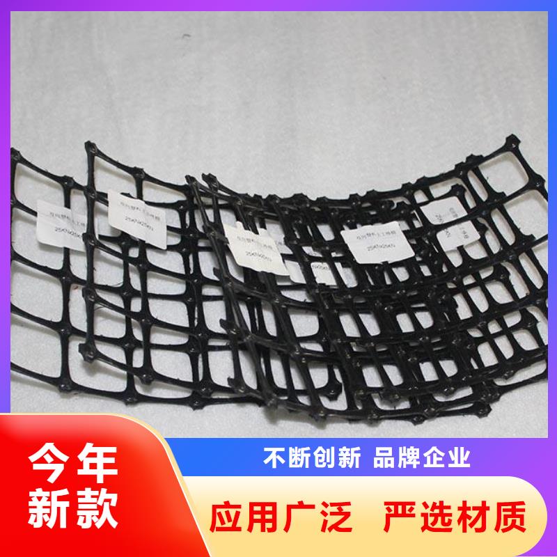 【双向塑料土工格栅】-复合土工膜值得买 鼎诺土工材料(拉萨市分公司)