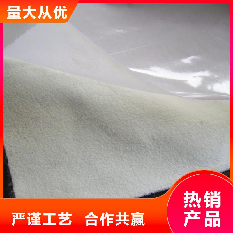土工膜土工席垫价格实惠工厂直供