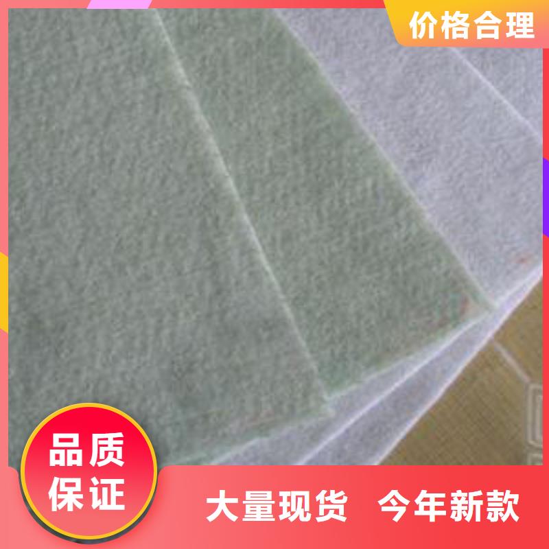 【 土工布 钢塑土工格栅品质之选】鼎诺水土保护毯