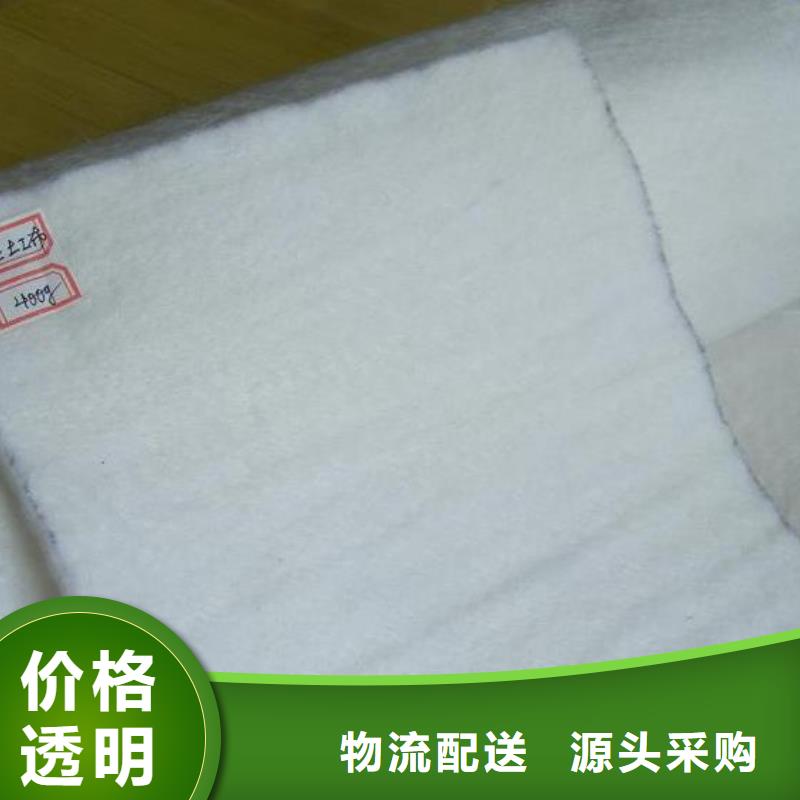 【 土工布 钢塑土工格栅品质之选】鼎诺水土保护毯