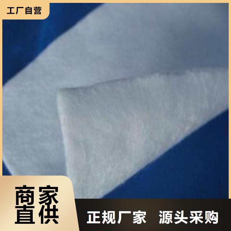 土工布凸结点钢塑土工格栅多行业适用