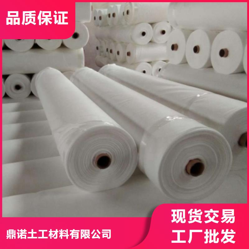 【 土工布 钢塑土工格栅品质之选】鼎诺水土保护毯