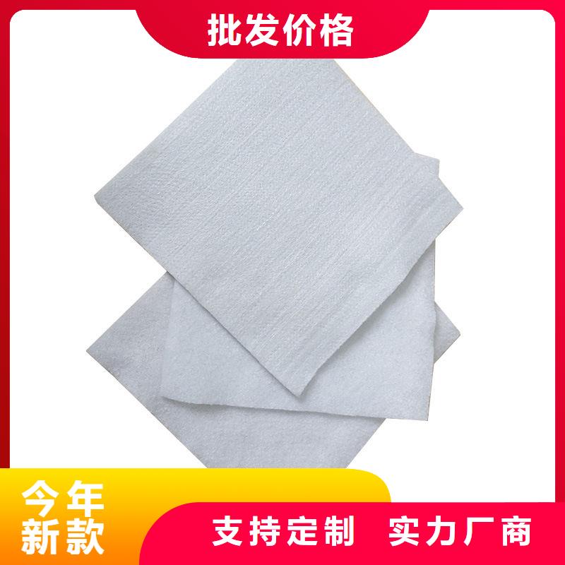 【 土工布 钢塑土工格栅品质之选】鼎诺水土保护毯
