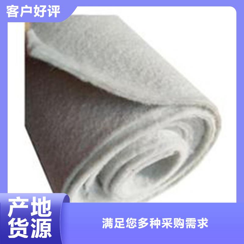 土工布凸结点钢塑土工格栅多行业适用