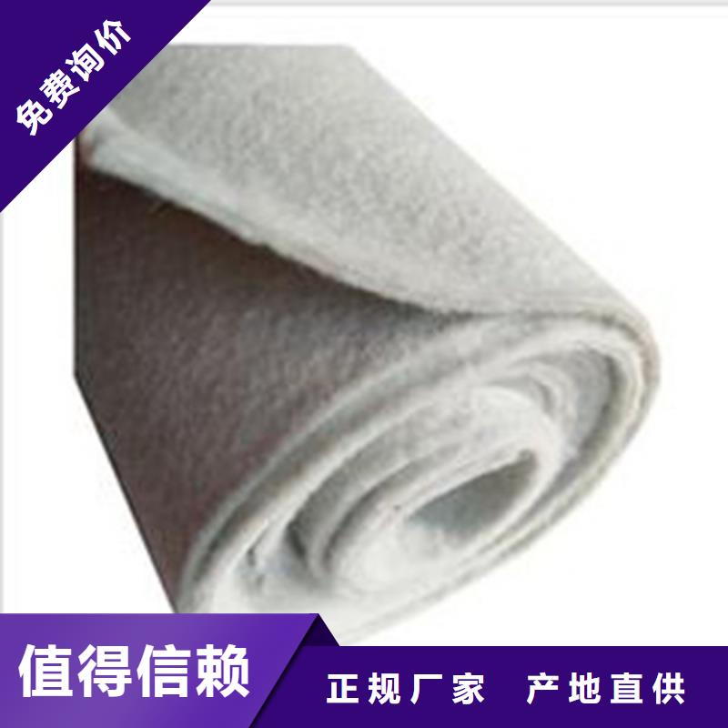 土工布凸结点钢塑土工格栅做工精细