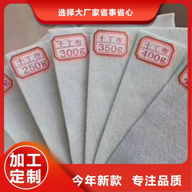 土工布凸结点钢塑土工格栅多行业适用