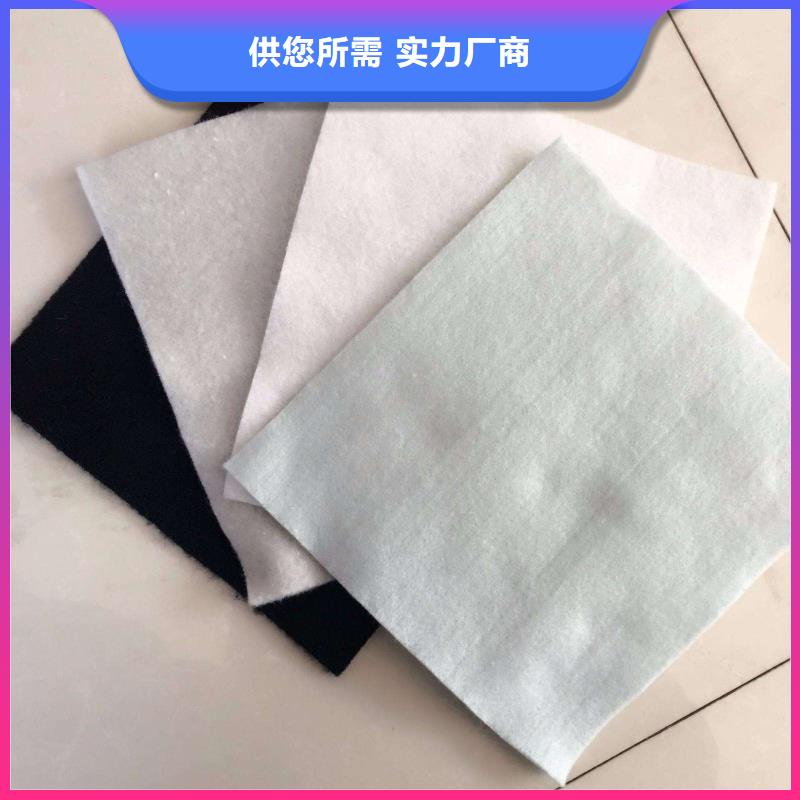 土工布长丝土工布品质无所畏惧