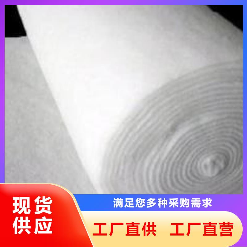 【 土工布 钢塑土工格栅品质之选】鼎诺水土保护毯