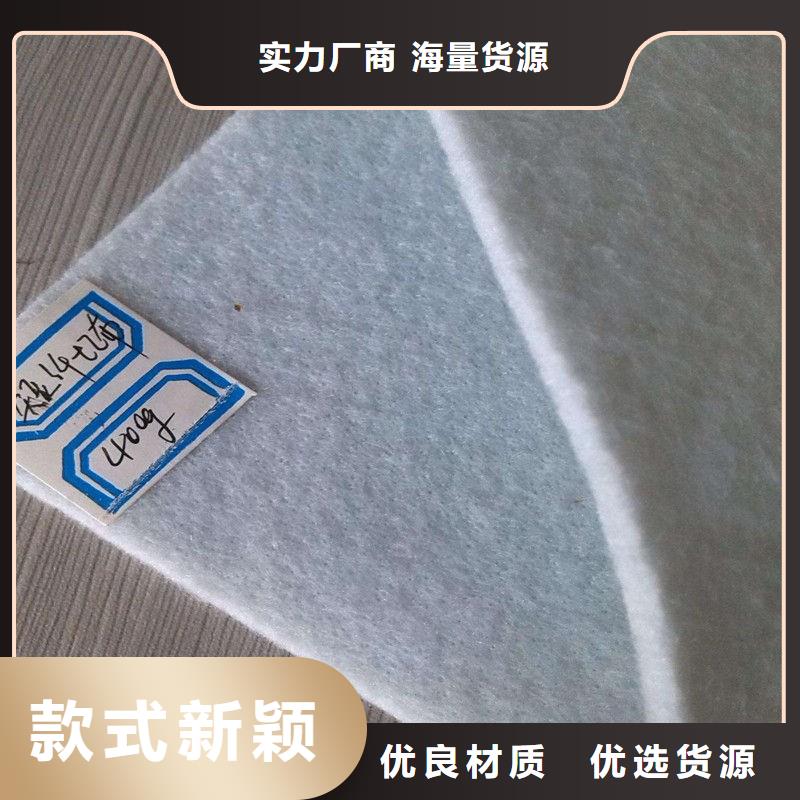 土工布凸结点钢塑土工格栅多行业适用