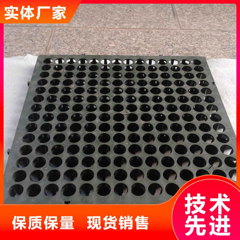 蓄排水板【三维复合排水网】质量层层把关-服务范围包括泸水|福贡|楚雄|保山|迪庆|红河等