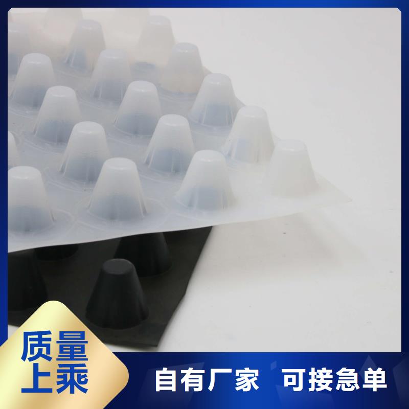 蓄排水板【三维复合排水网】质量层层把关-服务范围包括泸水|福贡|楚雄|保山|迪庆|红河等