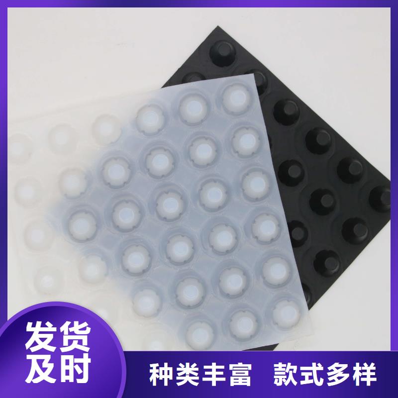 蓄排水板凸结点钢塑土工格栅经验丰富品质可靠