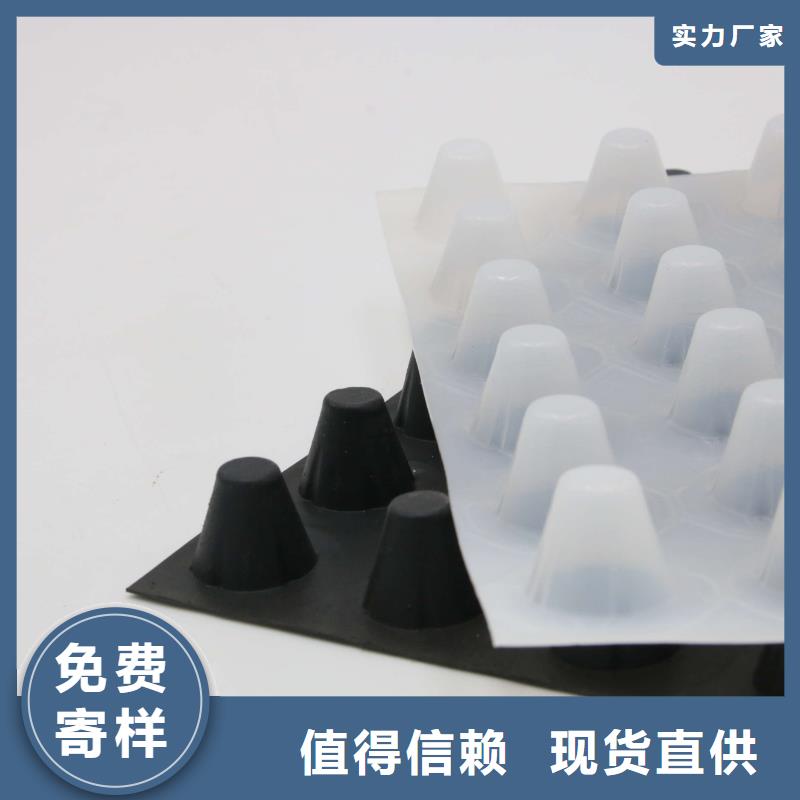 蓄排水板【三维复合排水网】质量层层把关-服务范围包括泸水|福贡|楚雄|保山|迪庆|红河等