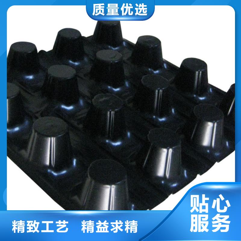 蓄排水板【三维复合排水网】质量层层把关-服务范围包括泸水|福贡|楚雄|保山|迪庆|红河等