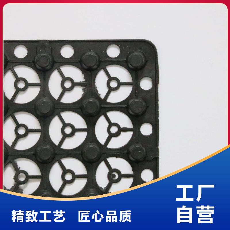 蓄排水板【三维复合排水网】质量层层把关-服务范围包括泸水|福贡|楚雄|保山|迪庆|红河等