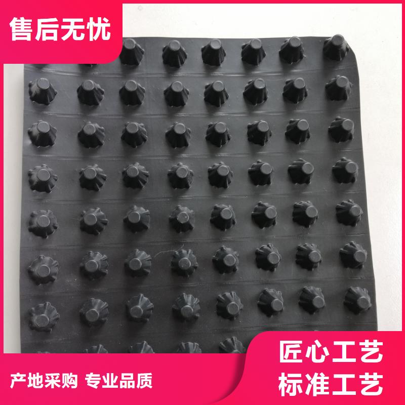 蓄排水板【三维复合排水网】质量层层把关-服务范围包括泸水|福贡|楚雄|保山|迪庆|红河等