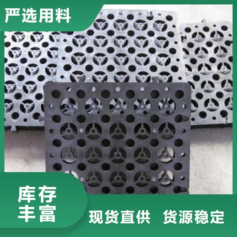 蓄排水板凸结点钢塑土工格栅经验丰富品质可靠