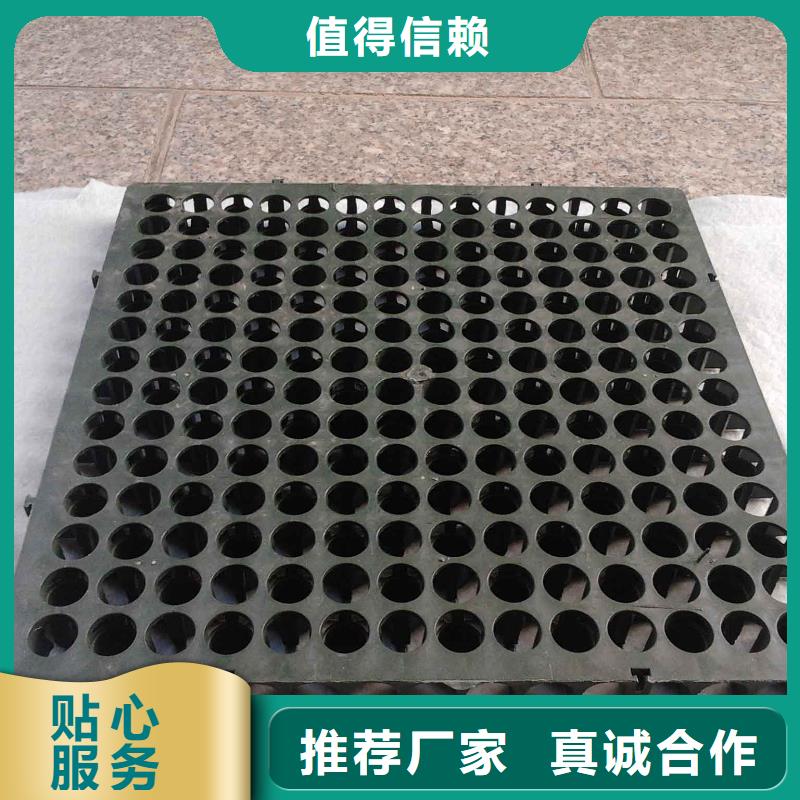 蓄排水板凸结点钢塑土工格栅经验丰富品质可靠