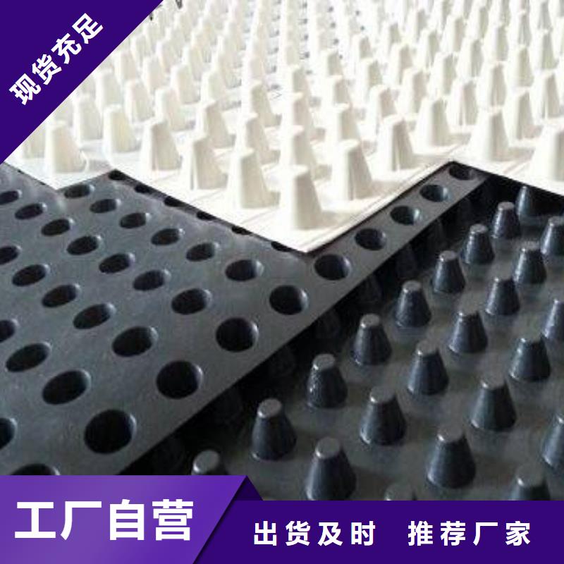 蓄排水板凸结点钢塑土工格栅经验丰富品质可靠