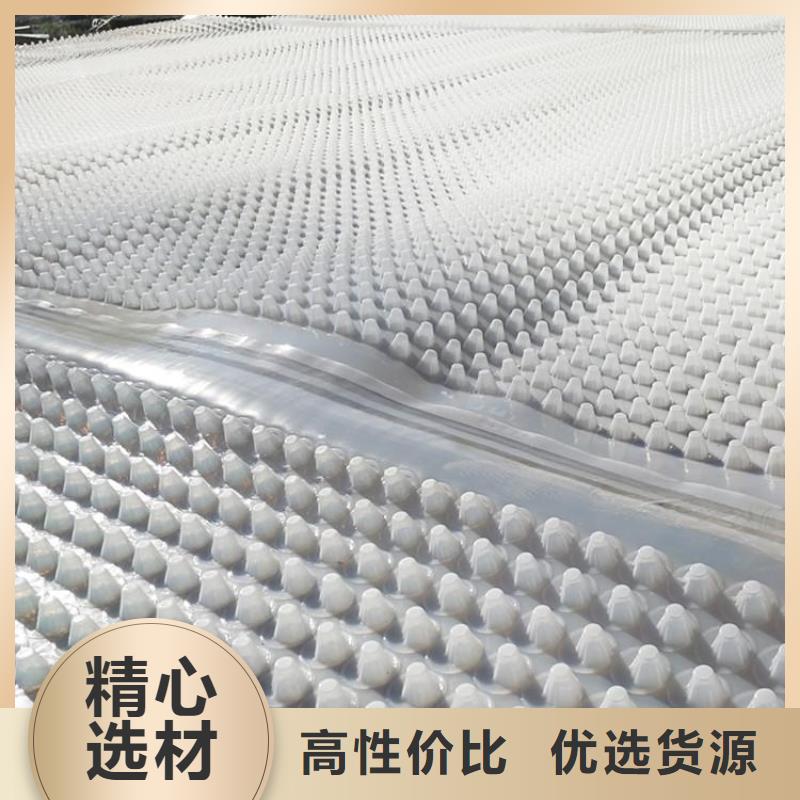 蓄排水板【三维复合排水网】质量层层把关-服务范围包括泸水|福贡|楚雄|保山|迪庆|红河等