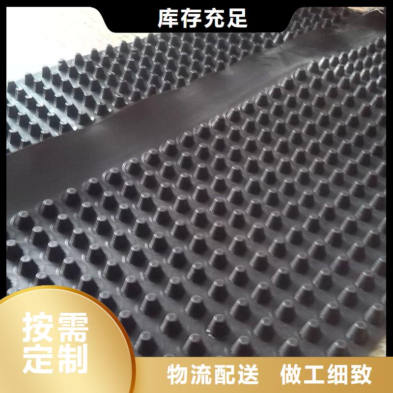 蓄排水板三维复合排水网认准大品牌厂家