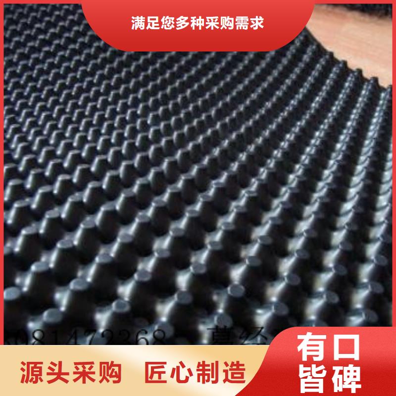蓄排水板三维复合排水网认准大品牌厂家