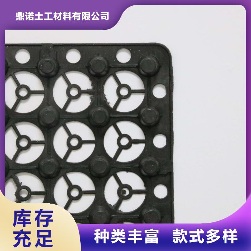 蓄排水板三维复合排水网认准大品牌厂家
