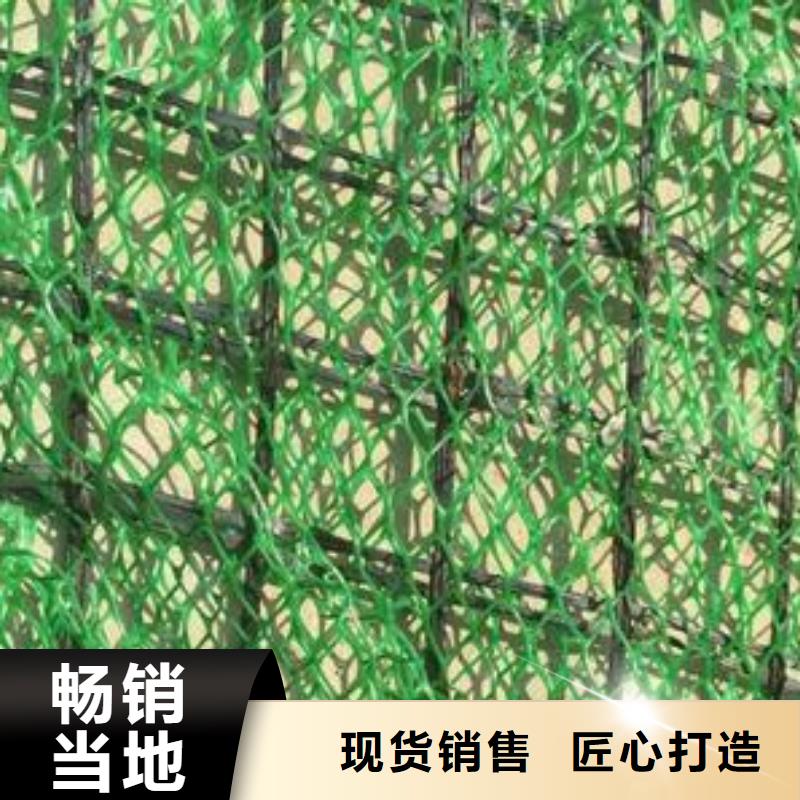 三维植被网-三维复合排水网本地配送