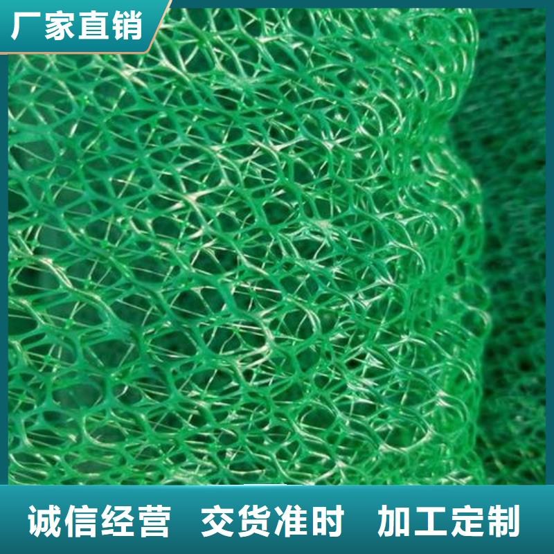 三维植被网玻纤土工格栅应用范围广泛