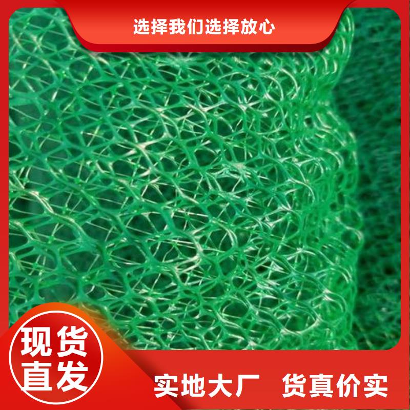 【三维植被网单向拉伸塑料格栅经验丰富质量放心】