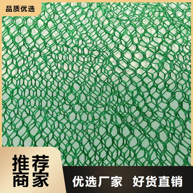 三维植被网,三维土工网垫严格把控每一处细节