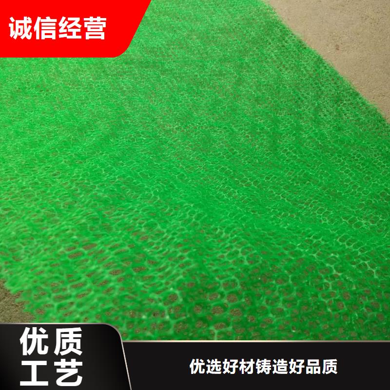 三维植被网-三维复合排水网本地配送